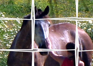 Detalle de la foto procesada