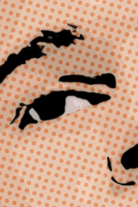 Detalle de la foto procesada