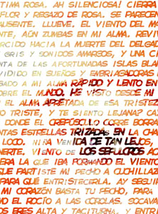 Detalle de la foto procesada