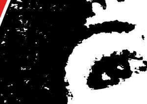 Detalle de la foto procesada