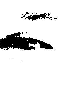 Detalle de la foto procesada