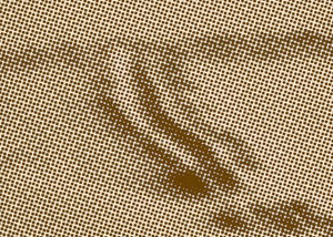 Detalle de la foto procesada