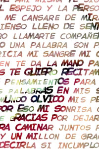 Detalle de la foto procesada