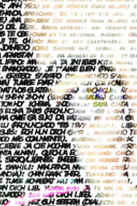 Detalle de la foto procesada