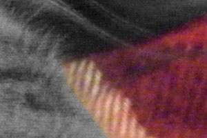 Detalle de la foto procesada