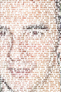 Detalle de la foto procesada