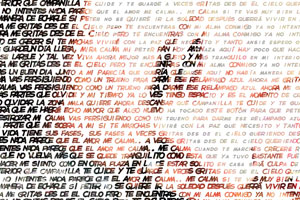 Detalle de la foto procesada