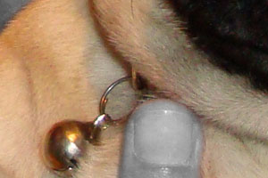 Detalle de la foto procesada