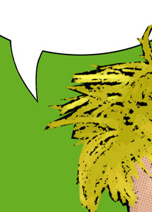 Detalle de la foto procesada