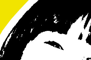 Detalle de la foto procesada