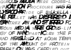 Detalle de la foto procesada