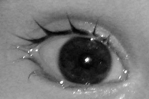 Detalle de la foto procesada