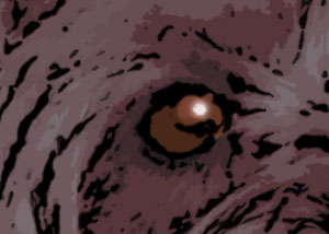 Detalle de la foto procesada