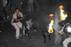 Regalo: Un  Impreso en papel brillo para alguien de Viver