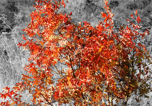 Regalo: Un  Impreso en un lienzo con un bastidor para alguien de MORAL DE CALATRAVA