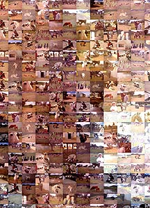 Detalle de la foto procesada