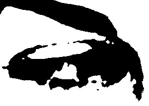 Detalle de la foto procesada