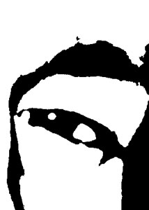 Detalle de la foto procesada