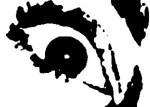 Detalle de la foto procesada