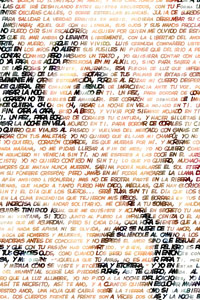 Detalle de la foto procesada