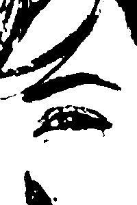 Detalle de la foto procesada