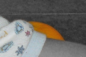 Detalle de la foto procesada