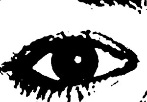 Detalle de la foto procesada