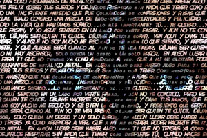 Detalle de la foto procesada