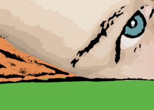 Detalle de la foto procesada