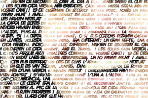 Detalle de la foto procesada