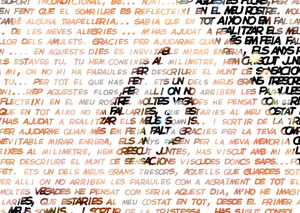 Detalle de la foto procesada