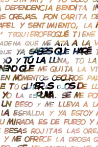 Detalle de la foto procesada