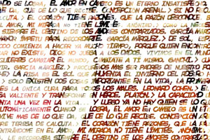 Detalle de la foto procesada