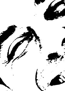 Detalle de la foto procesada