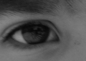 Detalle de la foto procesada