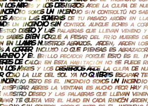 Detalle de la foto procesada