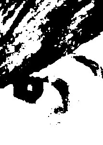 Detalle de la foto procesada