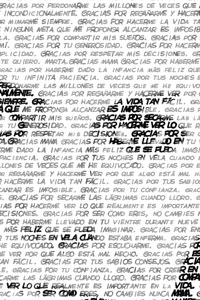 Detalle de la foto procesada