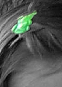 Detalle de la foto procesada