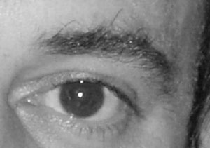 Detalle de la foto procesada