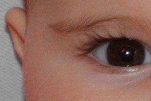 Detalle de la foto procesada