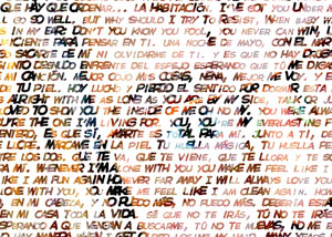 Detalle de la foto procesada