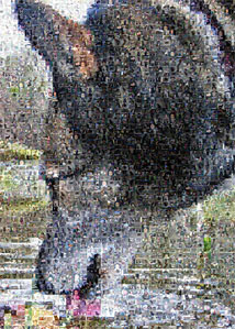 Regalo: Un  Impreso en un lienzo con un bastidor para alguien de SANT FELIU DE LLOBREGAT