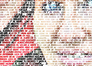 Detalle de la foto procesada