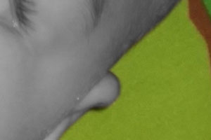 Detalle de la foto procesada