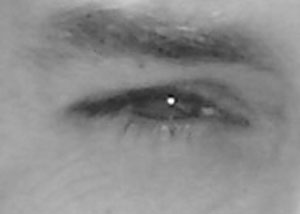 Detalle de la foto procesada