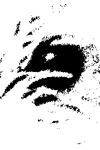 Detalle de la foto procesada