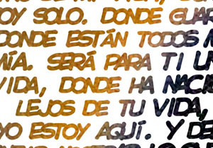 Detalle de la foto procesada