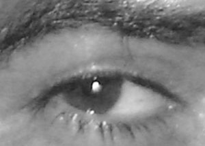 Detalle de la foto procesada