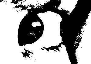 Detalle de la foto procesada